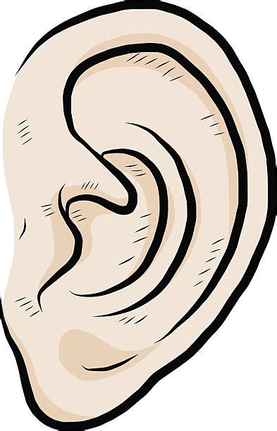 Best Human Ear Close Up Illustrations Royalty Free Vector Graphics