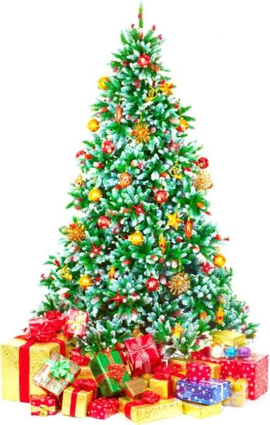 Christmas Tree Images Free Stock Photos Download 14779 Free Stock