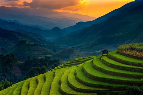Landscape Nature Rice Paddy Terraces Mountain Sunset Field Trees