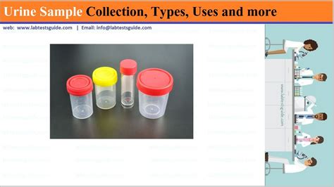 Types Of Urine Sample Collection