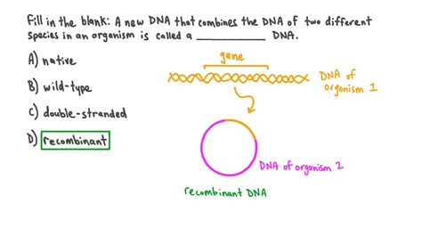 Question Video Defining The Term “recombinant Dna” Nagwa