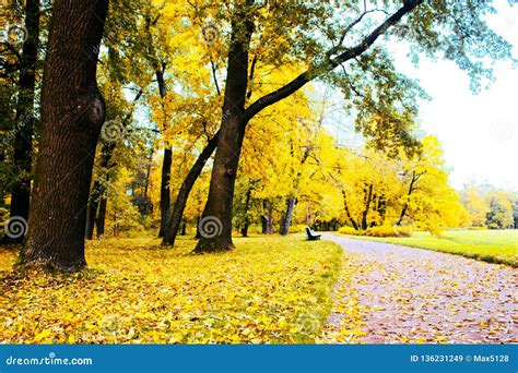 Autumn In The Park And On The Streets Stock Image Image Of Fallen