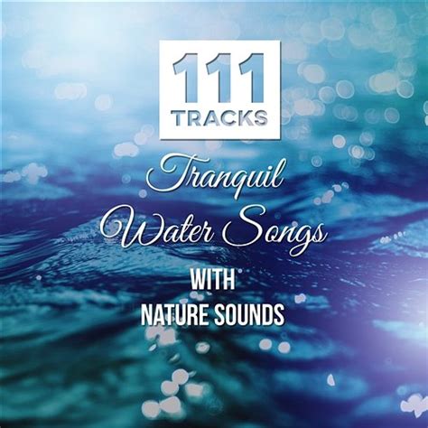 111 Tracks Tranquil Water Songs With Nature Sounds Healing