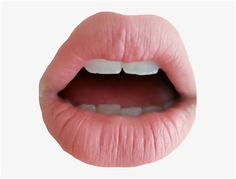 760 Aesthetic Lips Png Images 4kpng