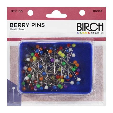 Pins Plastic Head 100on In Box Birch Creative