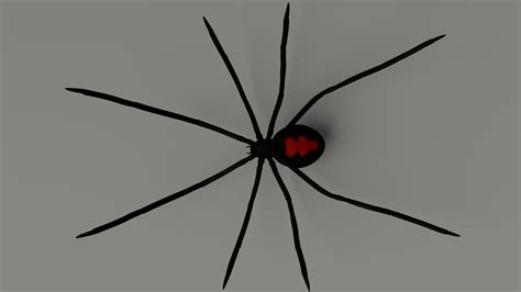 Black Widow Spider Giant Lifesize Cardboard Standup S