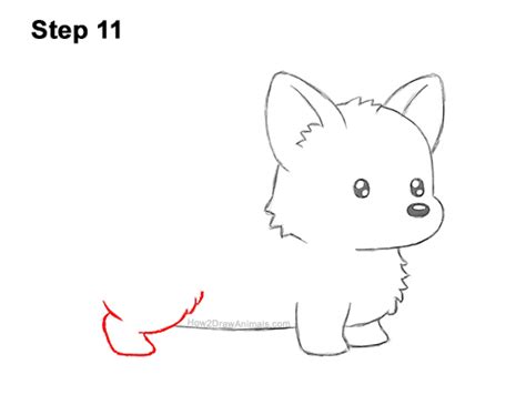 How To Draw A Corgi Cartoon Video And Step By Step Pictures