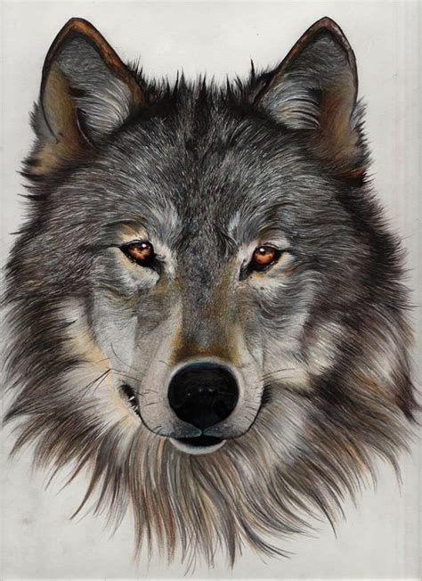 Painting By Marion Charente Wolf Painting Wolf Art Wolf Artwork