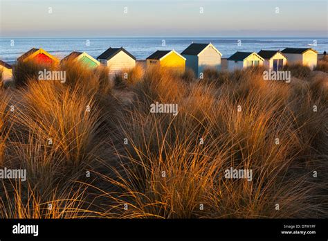 Beach Huts Amid Sand Dunes Southwold Suffolk England United Kingdom