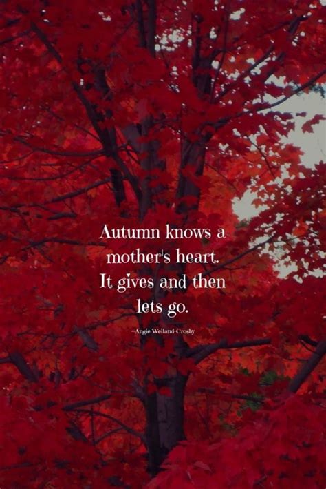 Fall Quotes To Remind You How Beautiful Autumn Is