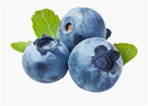 Download High Quality Blueberry Clipart Blue Berry Transparent Png