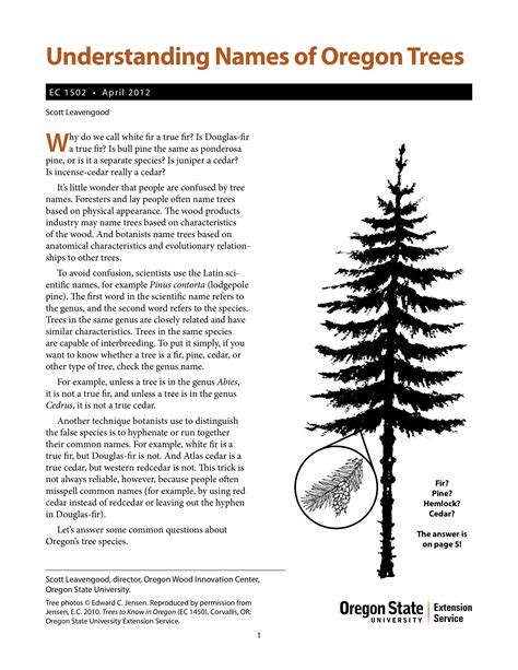Understanding Names Of Oregon Trees Oregon Trees Oregon Tree