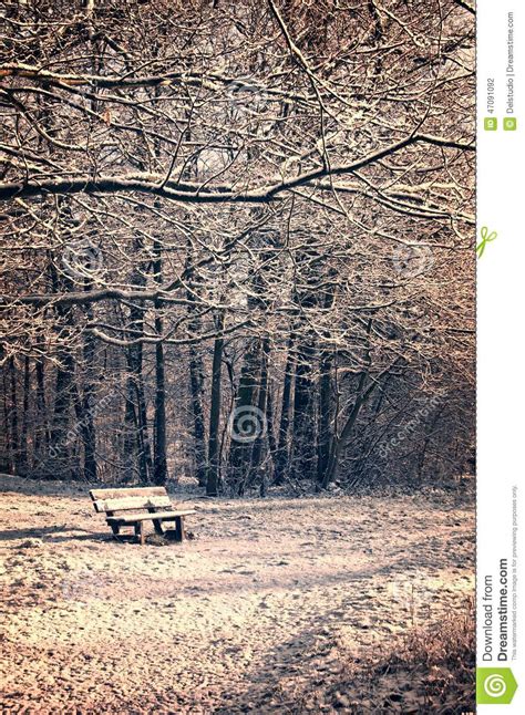 Snowy Landscape With A Bench And A Forest In Winter Stock Photo Image
