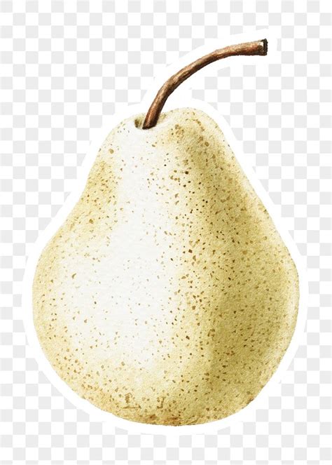 Hand Colored Pear Sticker Overlay Free Png Sticker Rawpixel