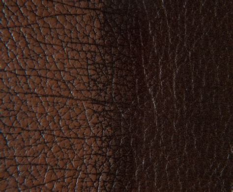 Birch Antique Fine Corrected Grain Leather Futura Leathers Esi