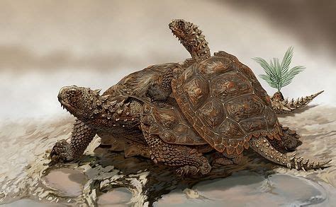 Prehistoric Turtles By Jaime Chirinos Science Photo Library Going
