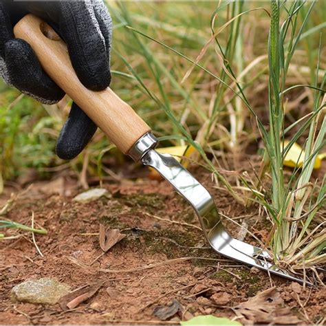 10 Essential Gardening Tools And What They Do