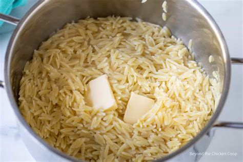 Orzo Side Dish Beyond The Chicken Coop