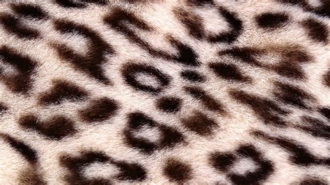 Hd Wallpaper Brown And Black Leopard Textile Leopard Skin Spots