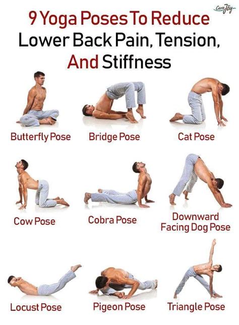 Yoga Poses To Reduce Back Pain Yoga Positions