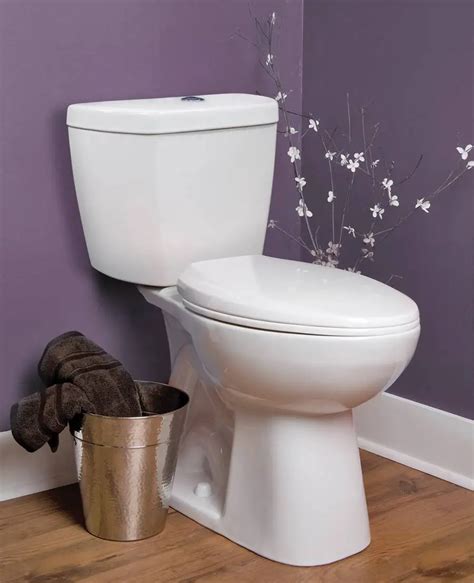 Niagara Stealth Toilet Review Best Single Flush Toilet Out