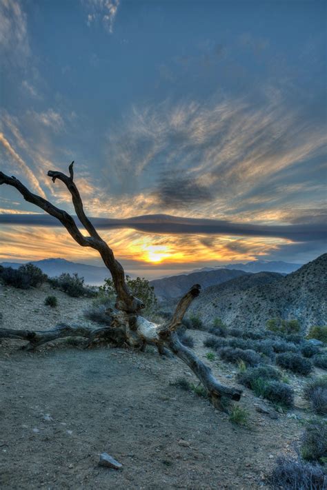 Photo Of Catch A Sunset At Keys View In Joshua Tree Np