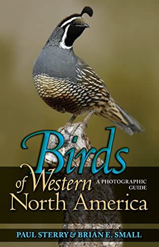 Birds Of Western North America A Photographic Guide Princeton Field