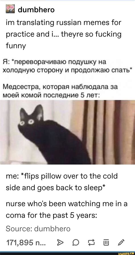 dumbhero im translating russian memes for practice and i theyre so fucking funny fl