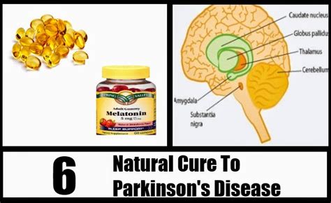 6 Natural Cure For Parkinsons Disease Mzizi Mkavu