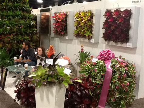 We did not find results for: We're back from the Tropical Plant Industry Exhibition ...