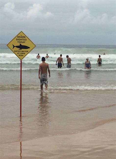 Manly Beach Yesterday Straya Beach Signs Funny Pictures Beach