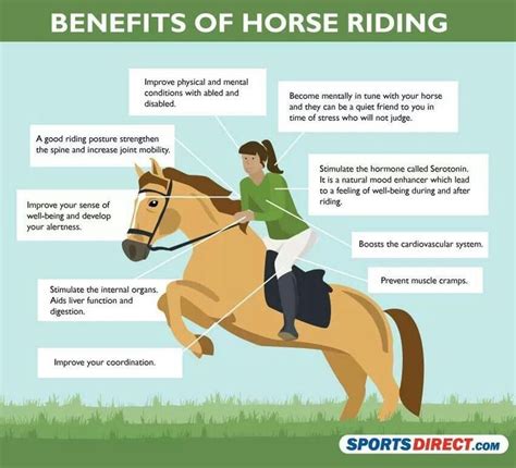 Horsey Friday Fun Facts Benefits Of Horseback Riding Horseback