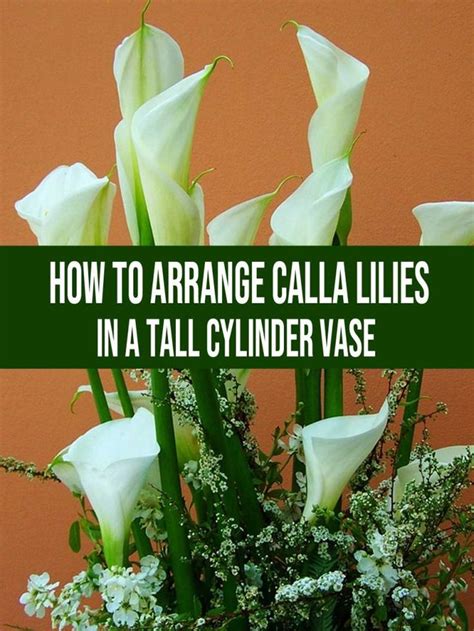 How To Arrange Calla Lilies In A Tall Cylinder Vase Calla Lily Calla
