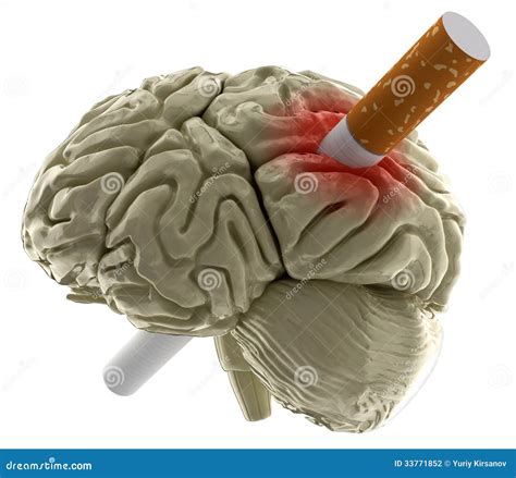 Human Brain With Cigarette Clipping Path Included Stock Illustration