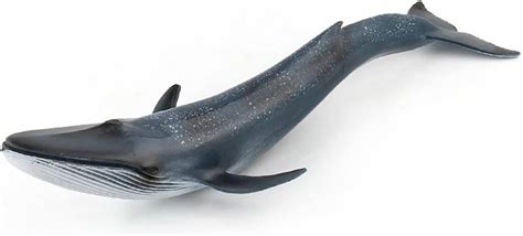 Blue Whale Sea Life Action Figure Ocean Model Toymarine