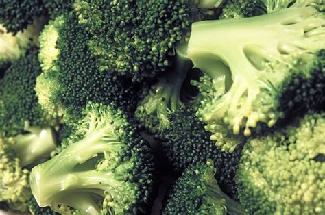 Broccoli Florets Free Stock Image