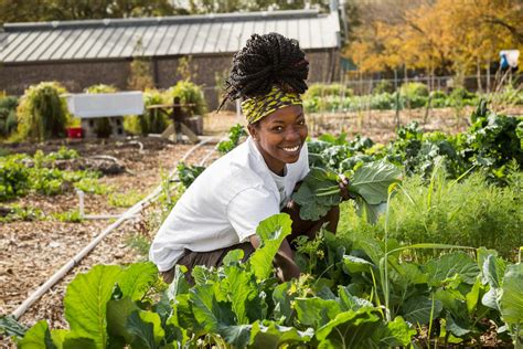 The Ultimate List of Black Owned Farms & Food Gardens