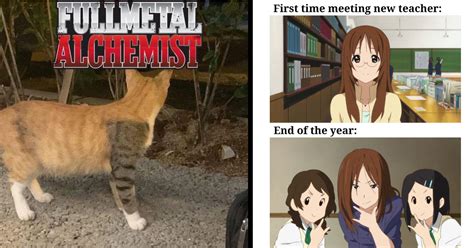 31 Weeb Y Anime Memes For Otakus Showbiz Khabri