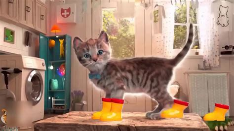 Inspirasi Baru 25 Film Kartun Anak Kucing