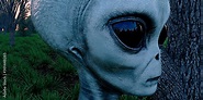 Alien Grey Humanoid Extraterrestrial Being in a forest extremely ...