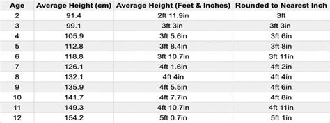 Average Male Height For Men In The Us And The World
