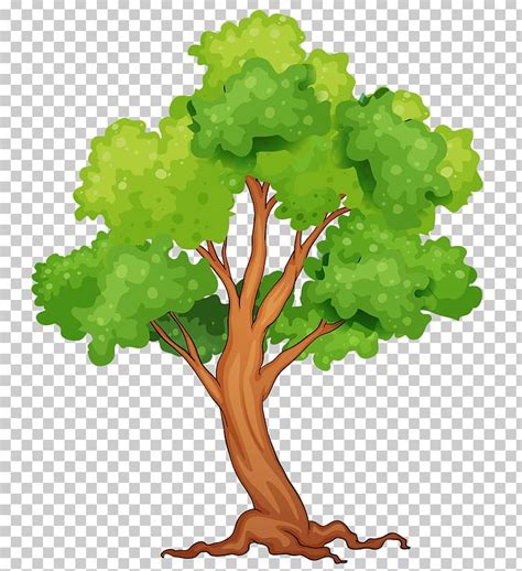 Rainforest Tree Clipart 10 Free Cliparts Download Images On