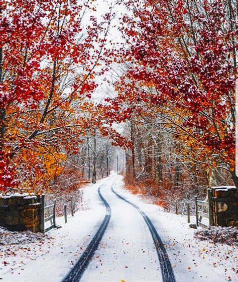 Countrylivingmag 📷 Davesarazen Winter Love Winter Snow Early
