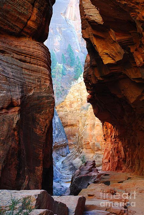 Slot Canyon Pass Observation Point Zion Photograph By Kate Sumners Pixels