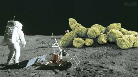 Moon Rocks: One Giant Hit for Mankind · Neonjoint