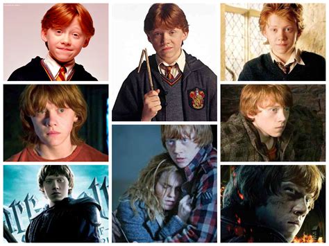 Harry Potter Characters Evolution Harry Potter Fan Art 35469858