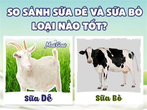 So Sánh Sữa Dê Và Sữa Bò Loại Nào Tốt