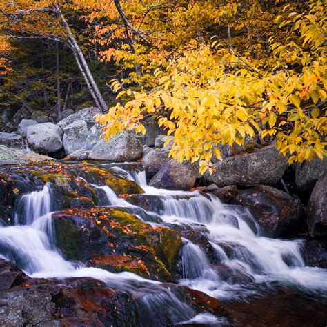 Waterfall In Fall Free Stock Photo Public Domain Pictures