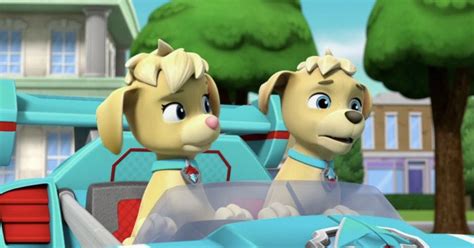 Tuck And Ella By Pirate Scorcher On Deviantart Paw Patrol Pups