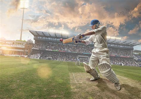 Royalty Free Cricket Pictures Images And Stock Photos Istock